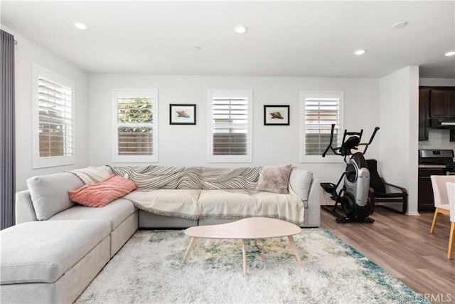 living room with light wood-type flooring