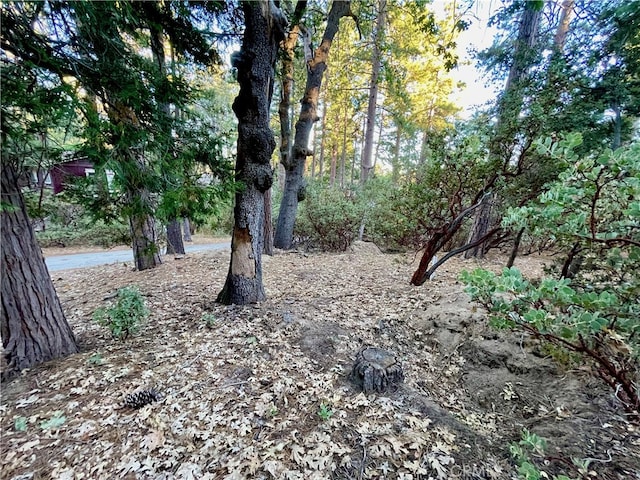 Listing photo 3 for 0 Overlook, Idyllwild CA 92549