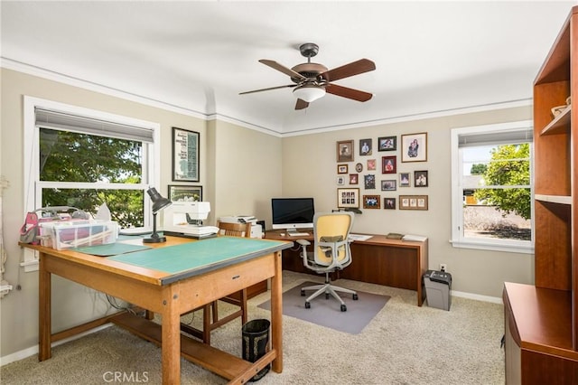 carpeted home office featuring ceiling fan and ornamental molding