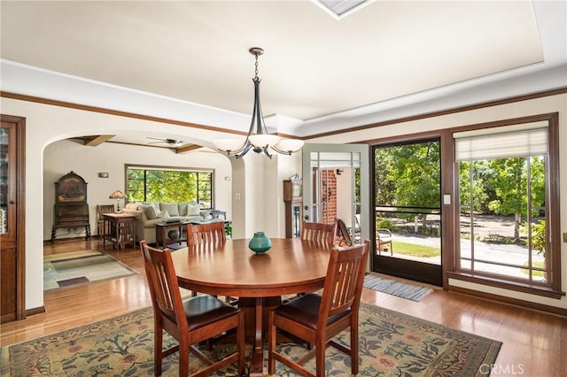 dining space featuring hardwood / wood-style flooring and ceiling fan with notable chandelier