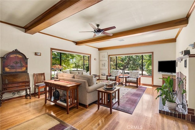 living room with ceiling fan, light hardwood / wood-style flooring, plenty of natural light, and beamed ceiling