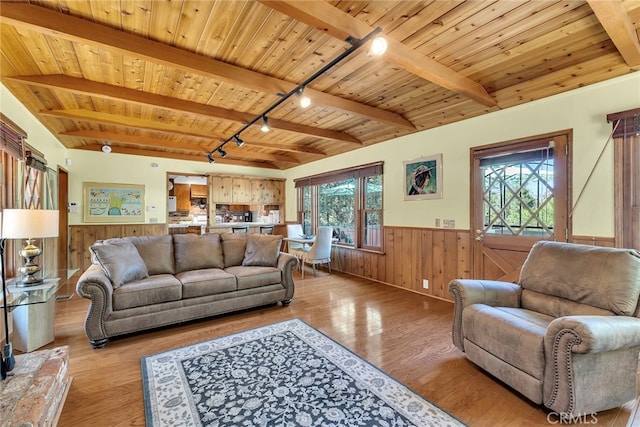 living room featuring light hardwood / wood-style floors, beam ceiling, rail lighting, and a wealth of natural light