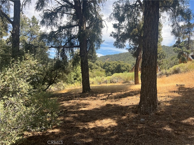 Listing photo 2 for 2721 Bryce Ct, Pine Mountain Club CA 93225