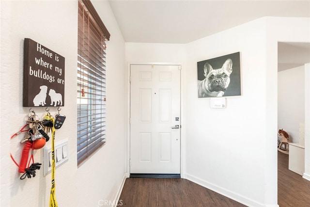 foyer with dark hardwood / wood-style flooring