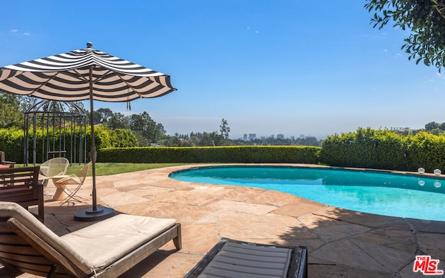 view of swimming pool with a patio