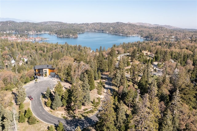 Listing photo 2 for 280 Ponderosa Peak Rd, Lake Arrowhead CA 92382