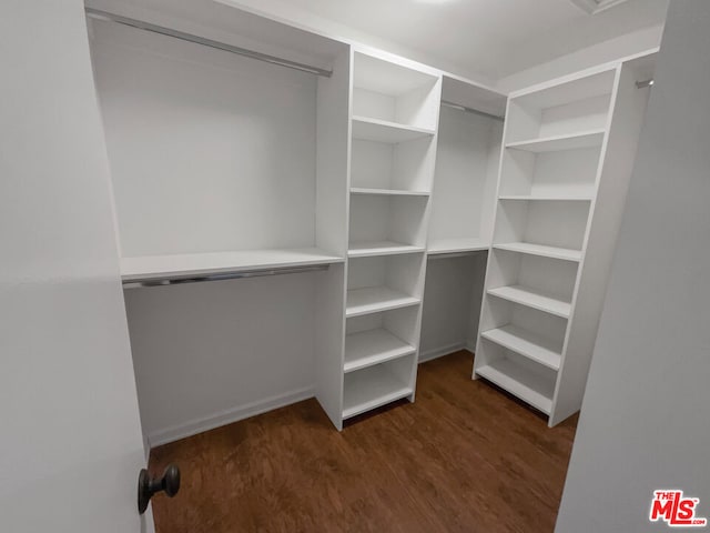 spacious closet with dark hardwood / wood-style flooring