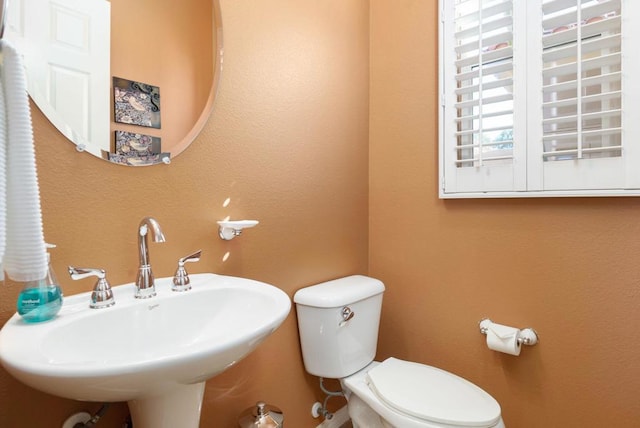 bathroom with sink and toilet