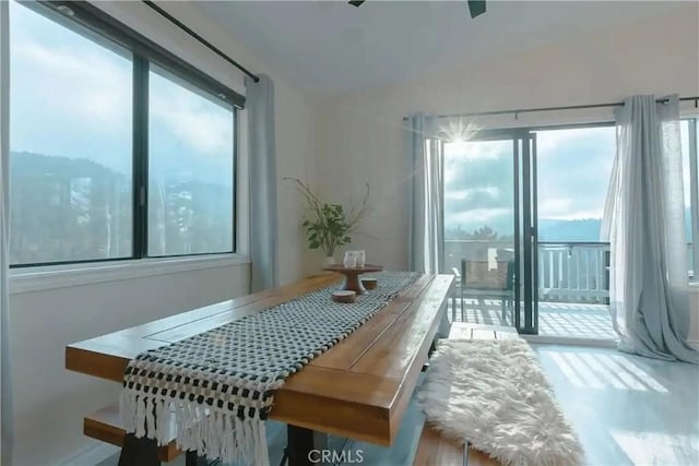 dining space featuring a wealth of natural light and hardwood / wood-style floors