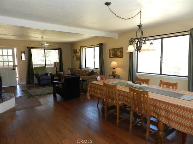 dining space with dark hardwood / wood-style floors, a textured ceiling, and ceiling fan with notable chandelier