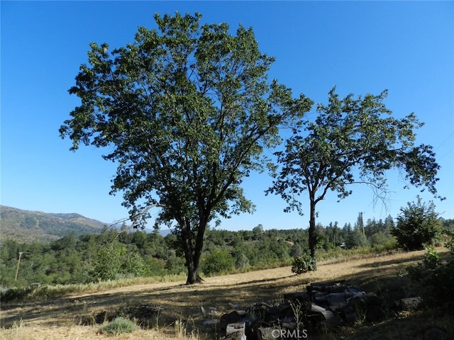 view of nature with a mountain view