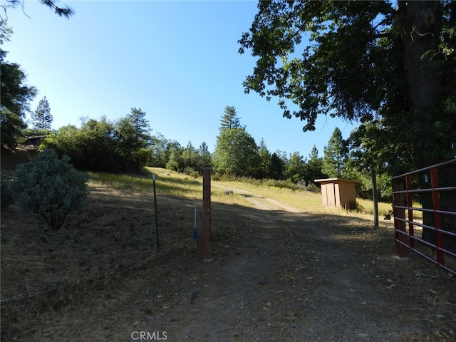 view of yard with a shed and a rural view