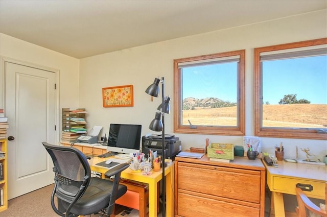 home office featuring light colored carpet