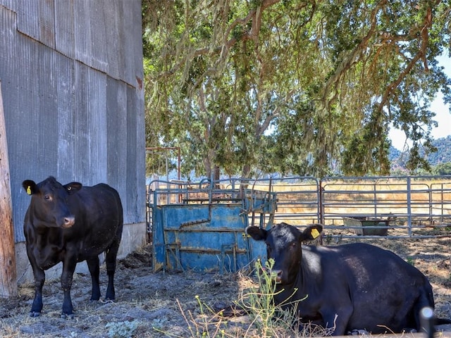 view of stable