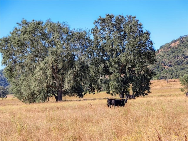 view of nature with a rural view