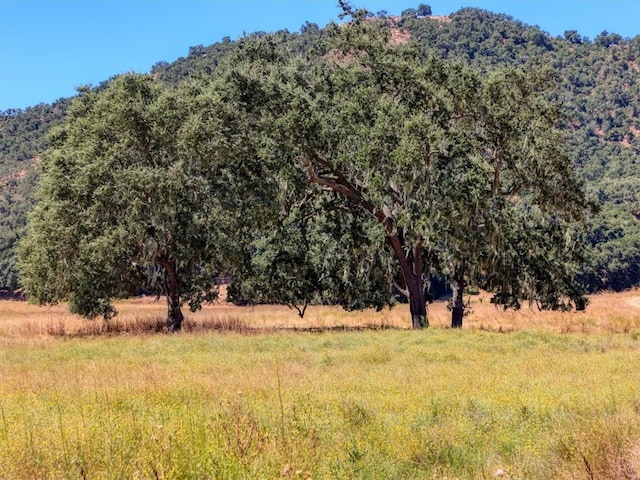 view of local wilderness featuring a rural view and a view of trees