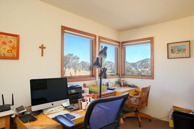 office space with carpet and a healthy amount of sunlight