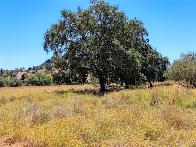 view of local wilderness featuring a rural view