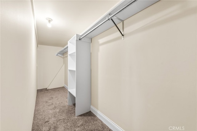 spacious closet with light carpet