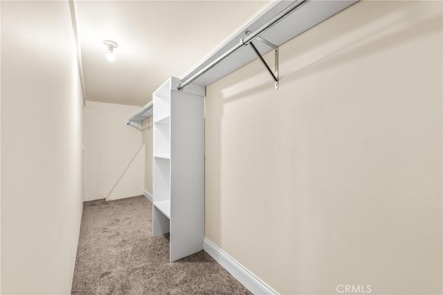 8462 Hillcroft Dr, West Hills, CA 91304 - spacious closet featuring carpet flooring