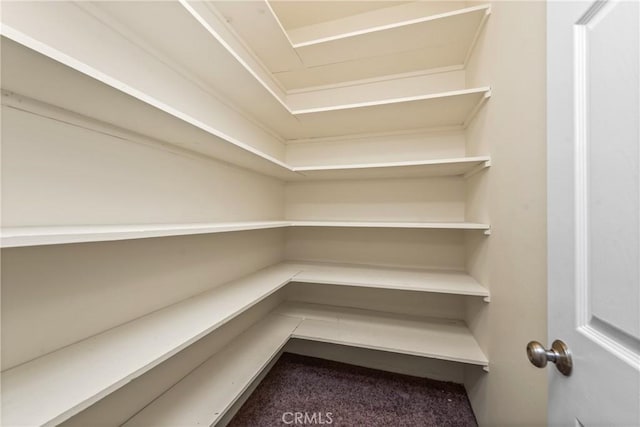 8462 Hillcroft Dr, West Hills, CA 91304 - view of storage area