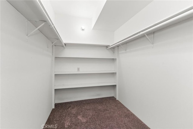 8462 Hillcroft Dr, West Hills, CA 91304 - walk in closet featuring carpet floors