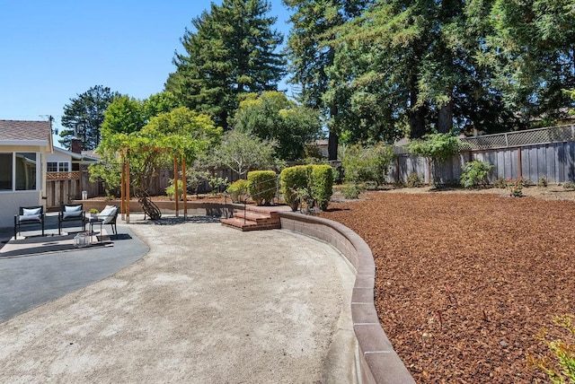 view of yard featuring a patio area