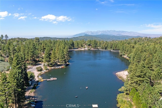 birds eye view of property featuring a water and mountain view