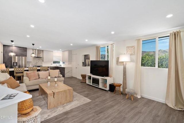 living room with hardwood / wood-style flooring