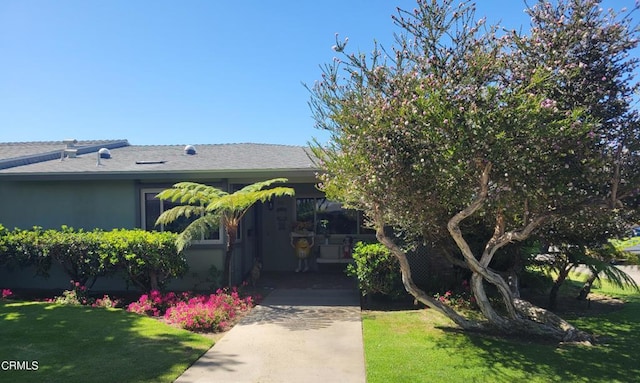 view of front of house with a front yard