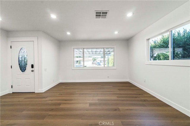 foyer entrance featuring dark hardwood / wood-style flooring and a wealth of natural light