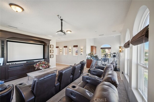 view of carpeted home theater