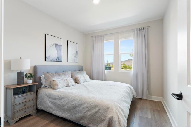 bedroom featuring hardwood / wood-style flooring