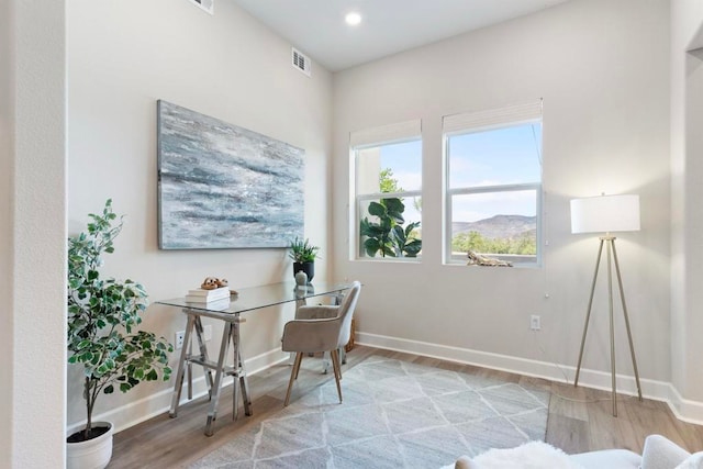 office featuring a mountain view and light hardwood / wood-style flooring