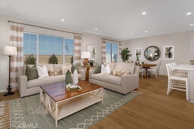 living room featuring wood-type flooring