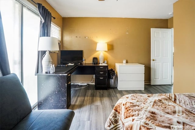 bedroom featuring dark hardwood / wood-style floors