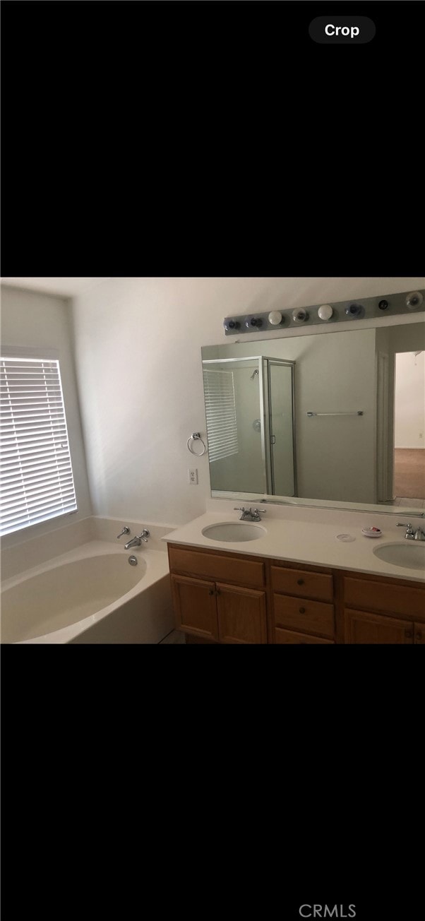 bathroom featuring double vanity and a washtub