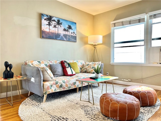 living room with hardwood / wood-style flooring