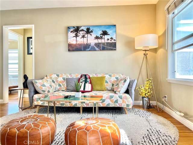 living room featuring hardwood / wood-style floors and a healthy amount of sunlight