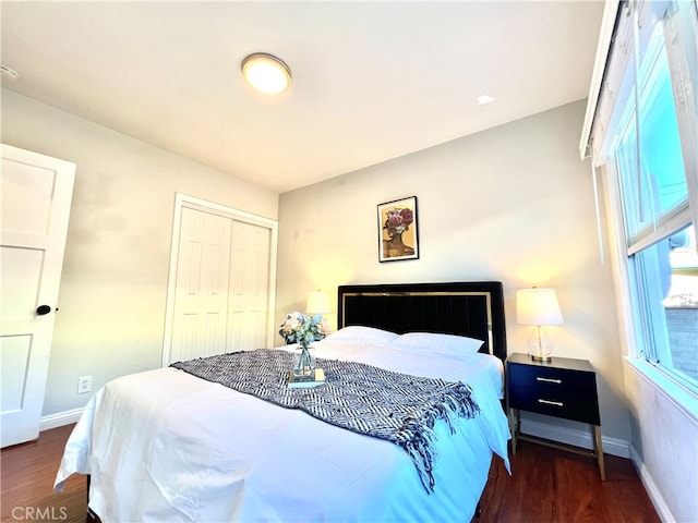 bedroom with a closet and dark wood-type flooring