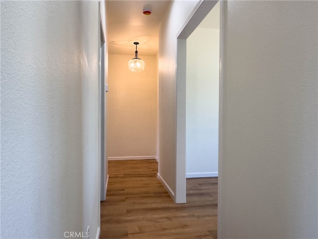 hallway featuring hardwood / wood-style floors