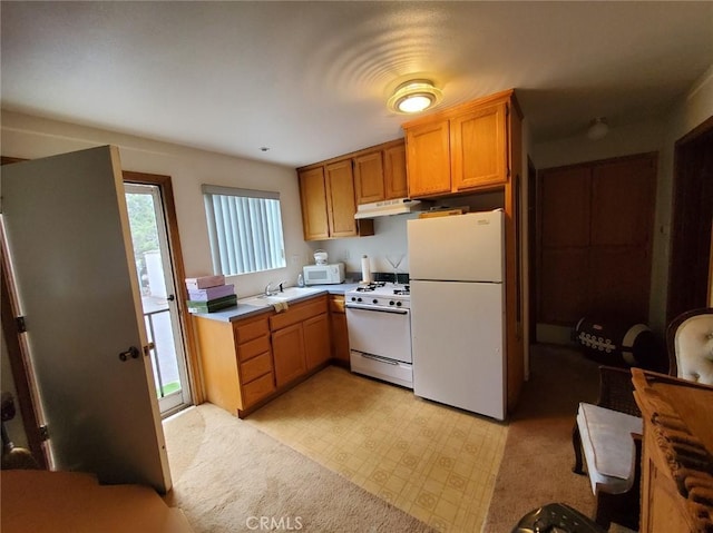 kitchen with light carpet, white appliances, and sink