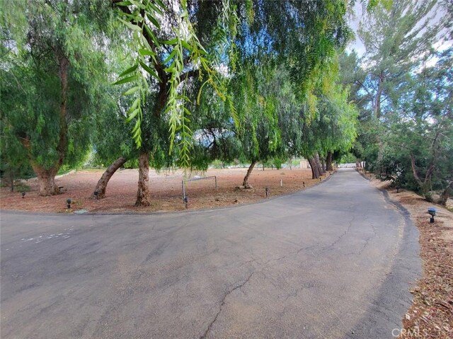 32920 Agua Dulce Canyon Rd, Agua Dulce, CA 91390 - photo 59