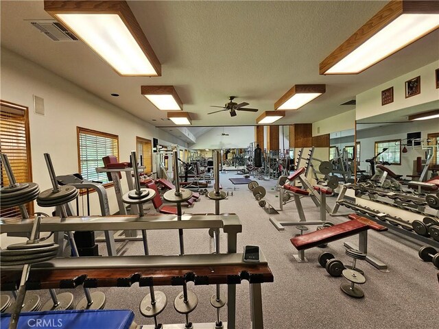 32920 Agua Dulce Canyon Rd, Agua Dulce, CA 91390 - photo 39
