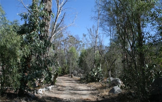 view of landscape