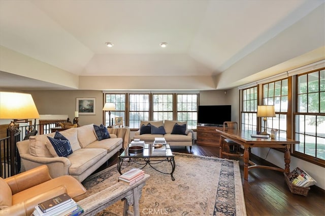 living room featuring a raised ceiling, plenty of natural light, and dark hardwood / wood-style flooring