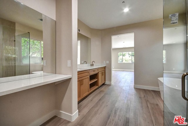 bathroom with hardwood / wood-style flooring, vanity, and plus walk in shower