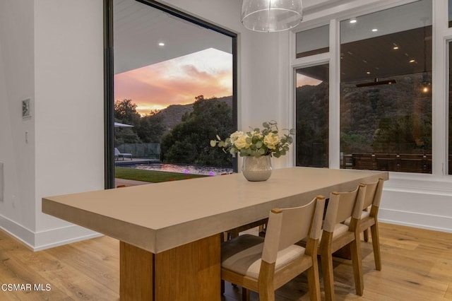 dining room with light wood-type flooring