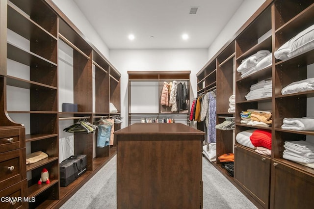 walk in closet with wood-type flooring