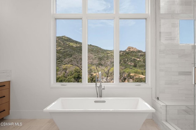 bathroom with shower with separate bathtub and vanity